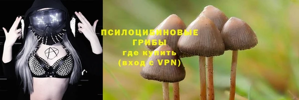 трава Пролетарск