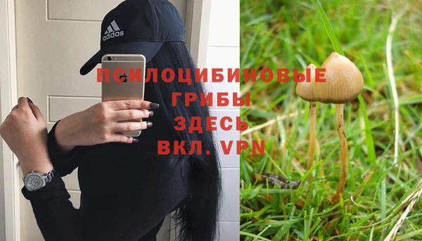 трава Пролетарск