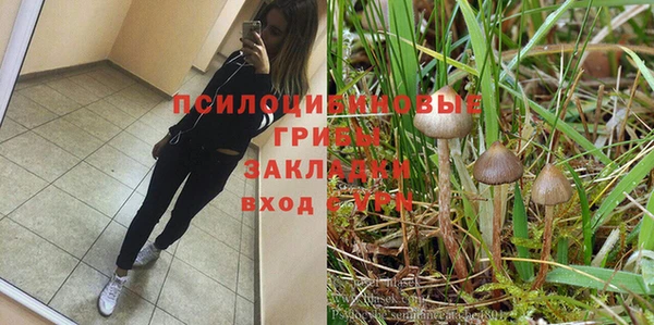 трава Пролетарск