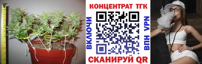 наркошоп  Николаевск-на-Амуре  ТГК гашишное масло 